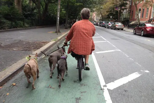 We're okay with these non-bicycles in the bike lane  